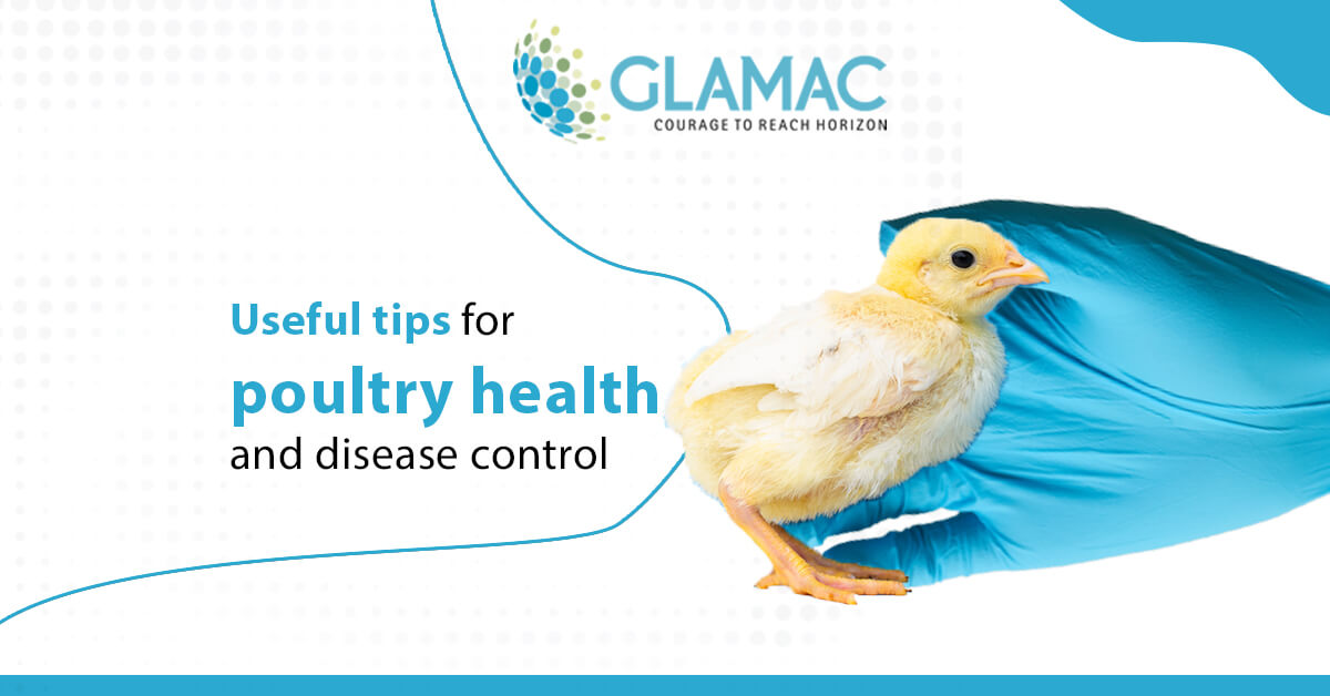 useful tip for poultry health