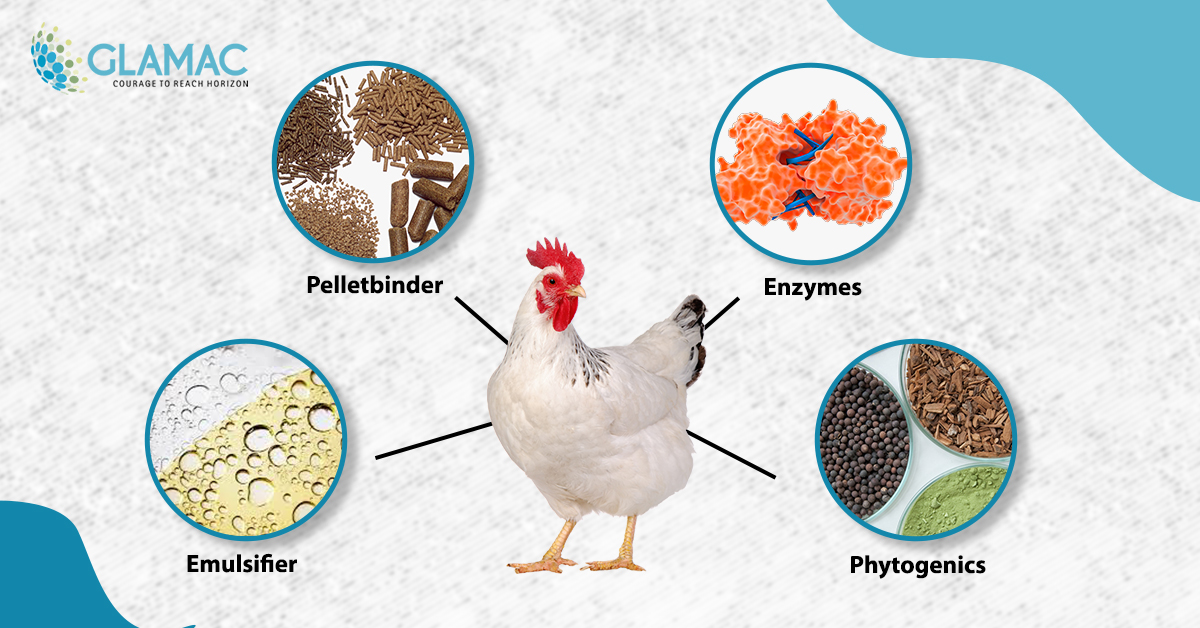 Inspect routinely to prevent any ailment