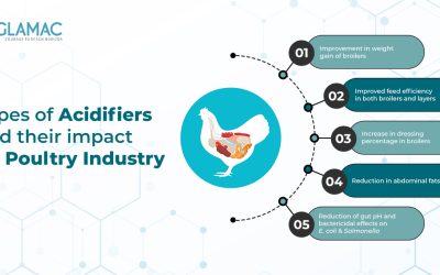 cheap feed additives poultry manufacturers in Indiandustry