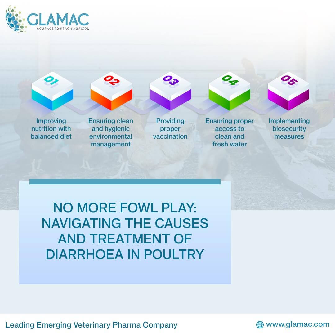 feed additives in poultry in India