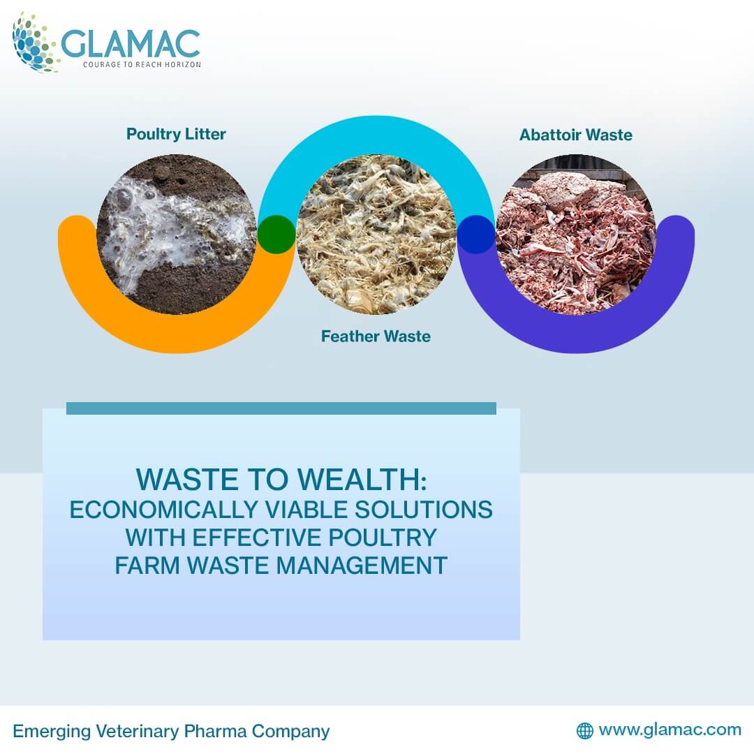 poultry feed additives company in India