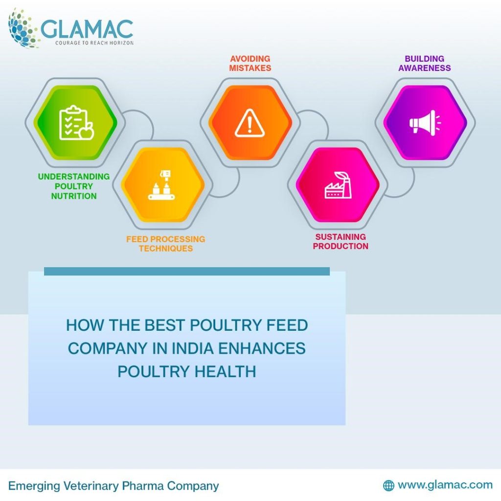 Best Poultry Feed Company in India