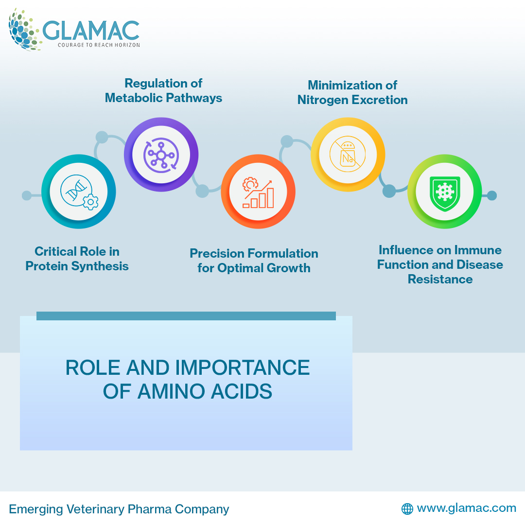 Importance of Amino Acids in Poultry Nutrition