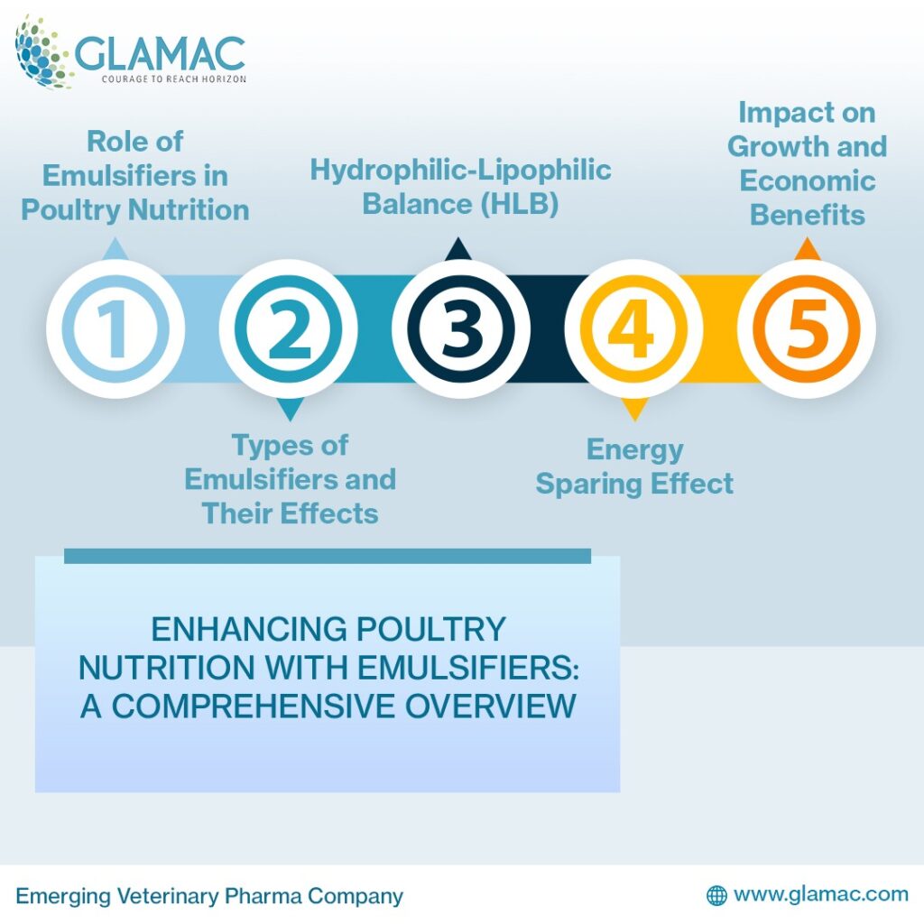 Enhancing Poultry Nutrition with Emulsifiers