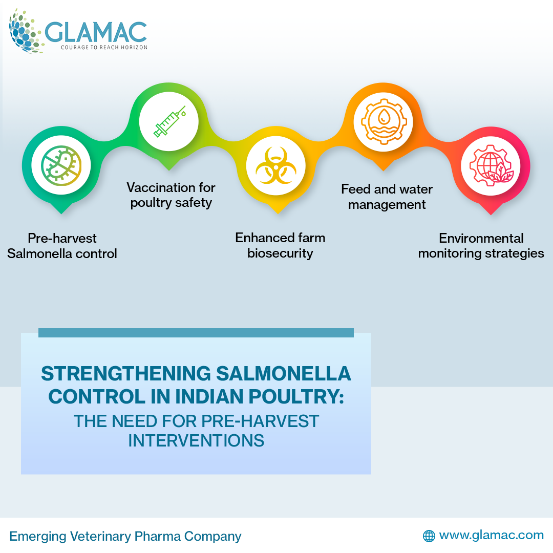 Salmonella Control in Indian Poultry