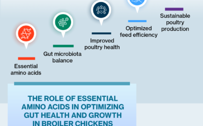 Essential Amino Acids in Optimizing Gut Health