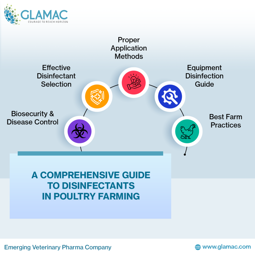 Guide to Disinfectants in Poultry Farming