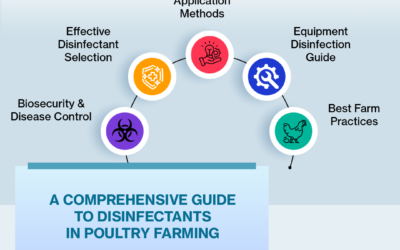 Guide to Disinfectants in Poultry Farming
