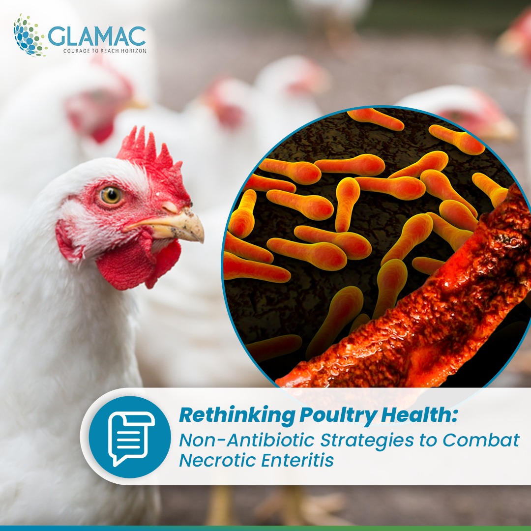 Non-Antibiotic Strategies