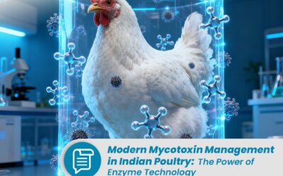 Mycotoxin Management in Indian Poultry