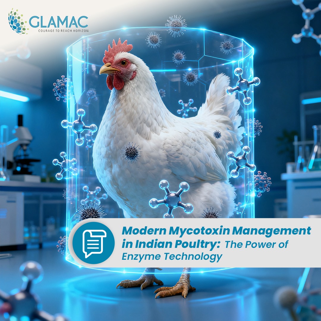 Mycotoxin Management in Indian Poultry