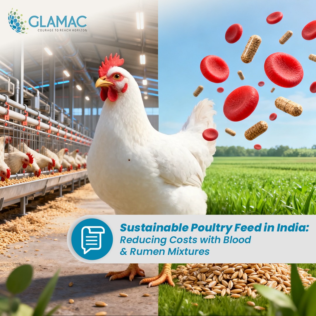 Sustainable poultry feed India